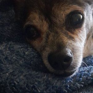 Meet your Posher, Nichole